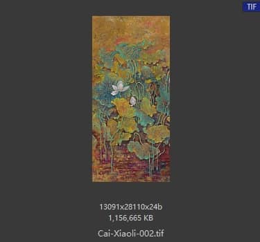 蔡小丽 荷花八条屏-02