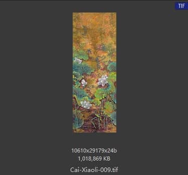 蔡小丽 荷花六条屏-01