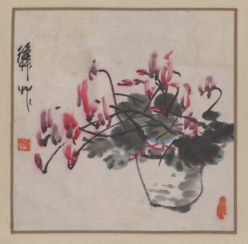 兔子花图