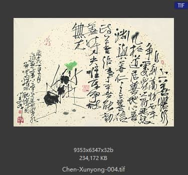 陈训勇 蚂蚁3 