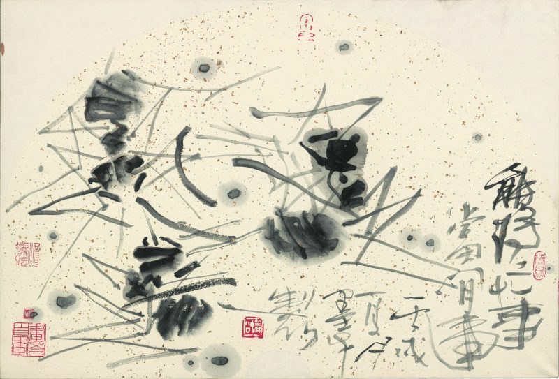 蚂蚁6