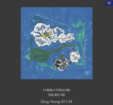 丁虹 #011 