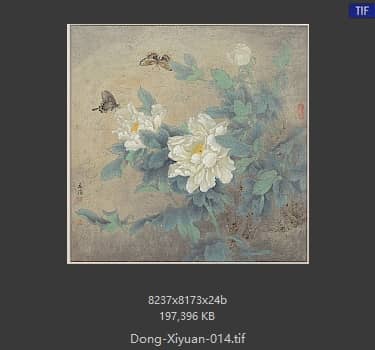 董希源 牡丹 