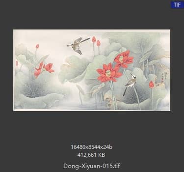 董希源 红荷花 