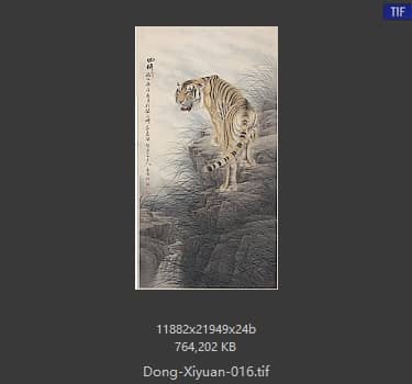 董希源 老虎-回眸 