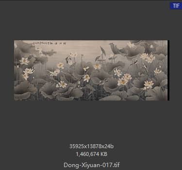 董希源 荷花 