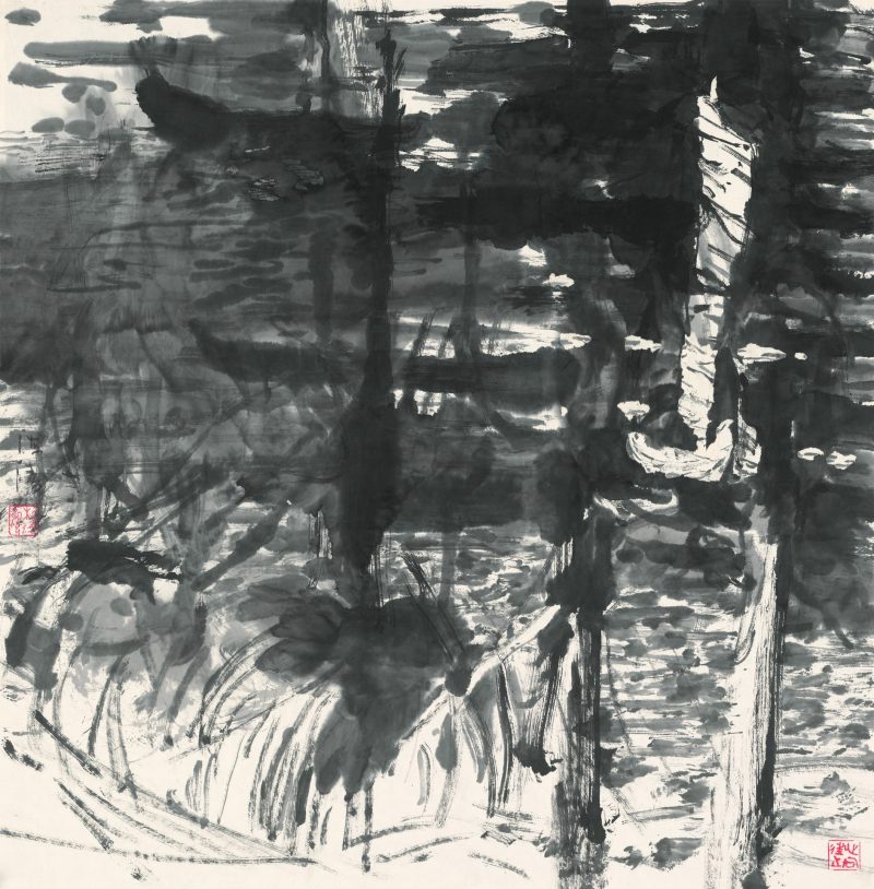 小白帆