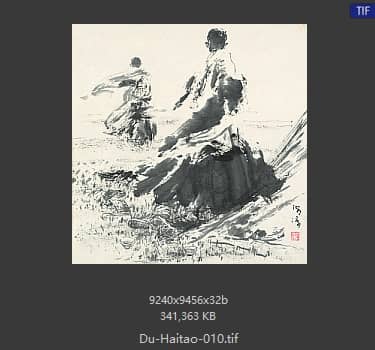 杜海涛 远方 