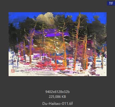 杜海涛 雪景 