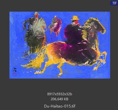 杜海涛 高原之子 
