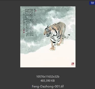 冯大中 踏雪觅春