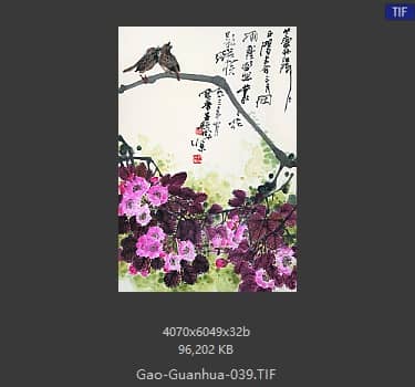 高冠华 #039