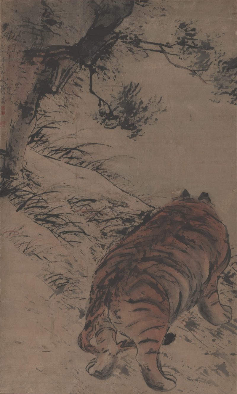 猛虎