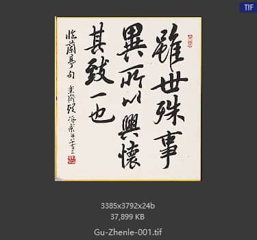 顾振乐 #001