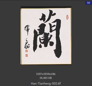 韩天衡 兰