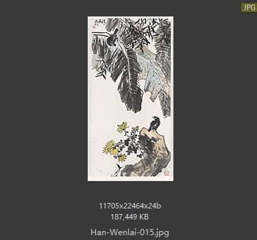 韩文来 # 015