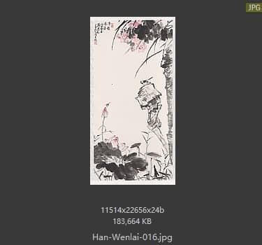 韩文来 # 016