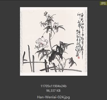 韩文来 # 024