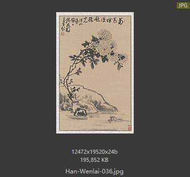 韩文来 # 036