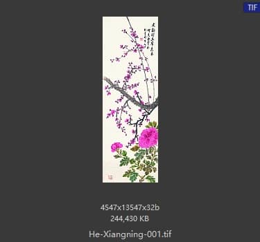 何香凝 牡丹梅花