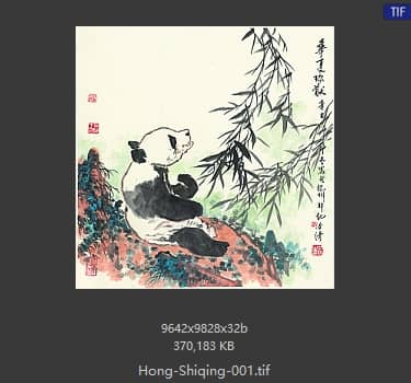 洪世清 熊猫