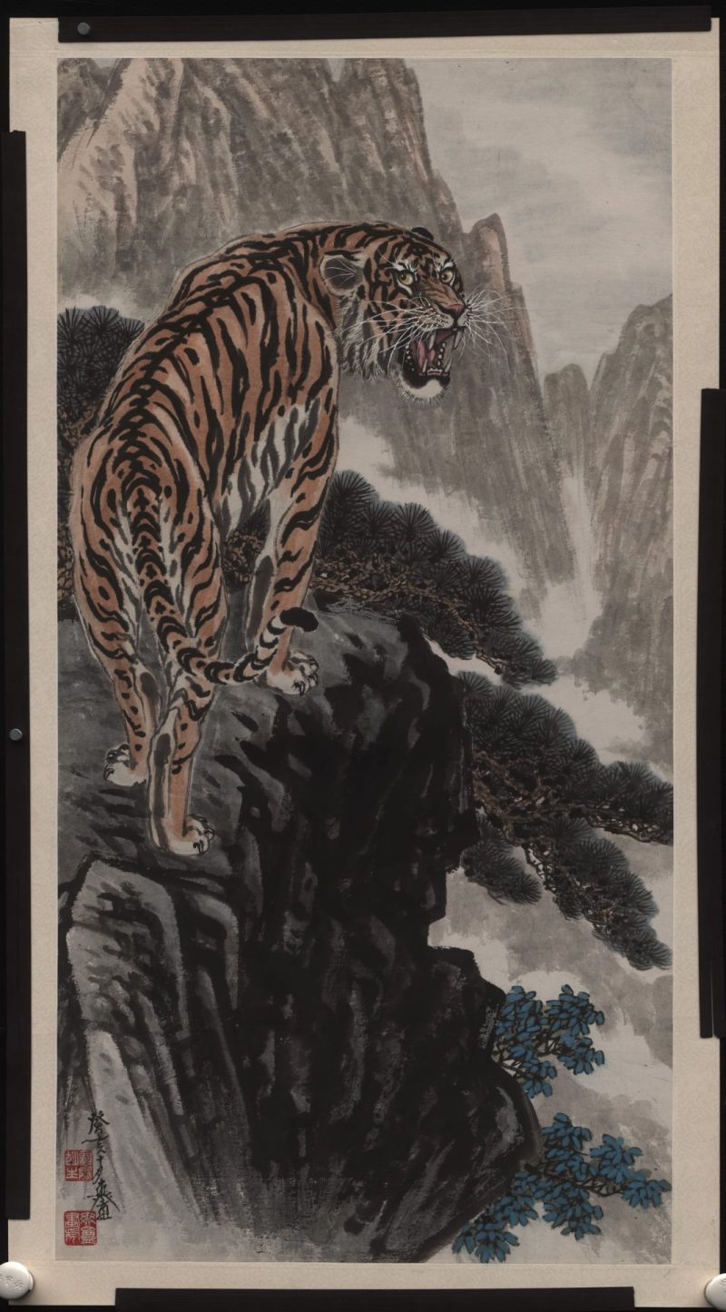 上山虎