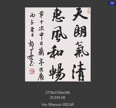 胡文遂 # 002