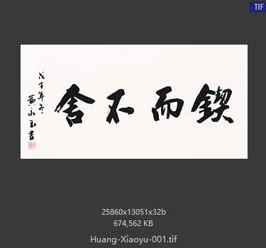 黄小玉 锲而不舍