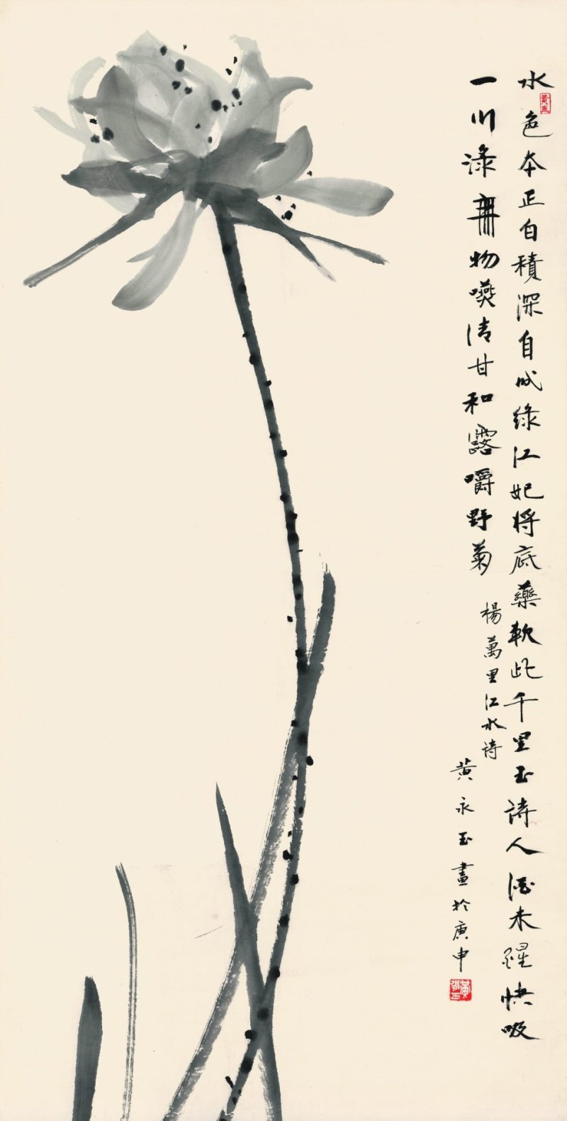 墨荷