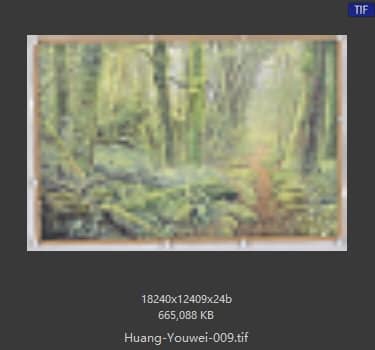 黄有维 # 003