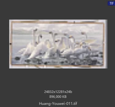 黄有维 # 005