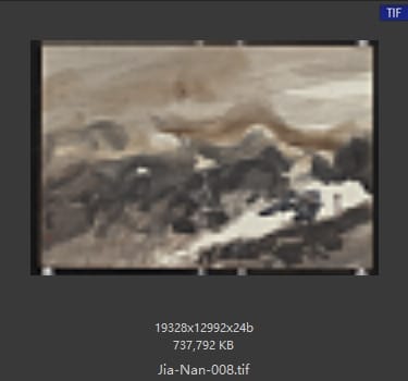 王迦南 王迦南 #014