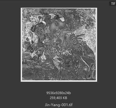 金阳 金阳 #001