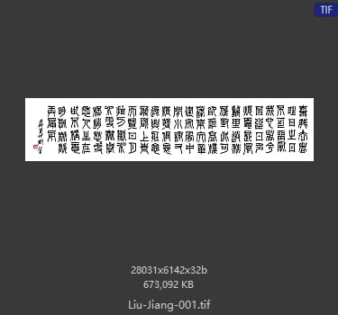 刘江 刘江 #001 