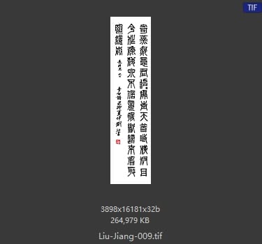 刘江 刘江 #009 