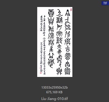 刘江 刘江 #010 