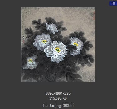 刘菊清 菊花 