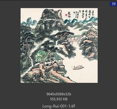 龙瑞 五月江南雨 