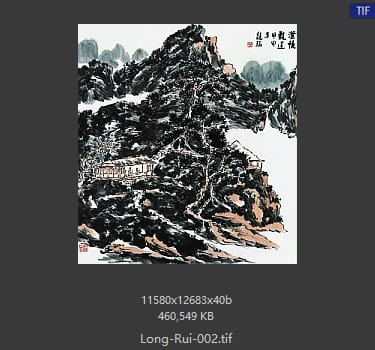 龙瑞 澄怀观道 