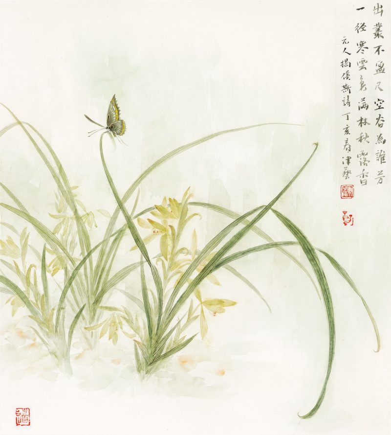 兰花