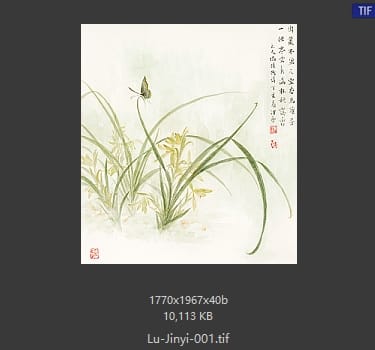 卢津艺 兰花 