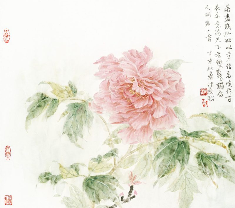 牡丹