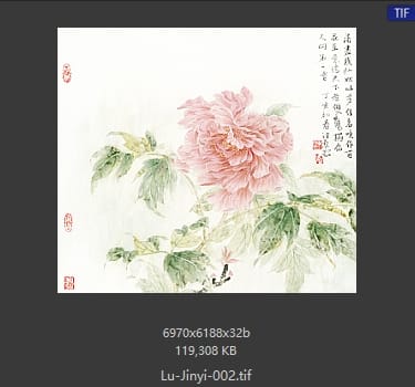 卢津艺 牡丹 