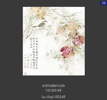 卢津艺 石榴 