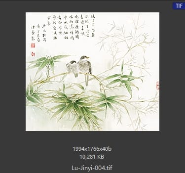 卢津艺 竹子小鸟 