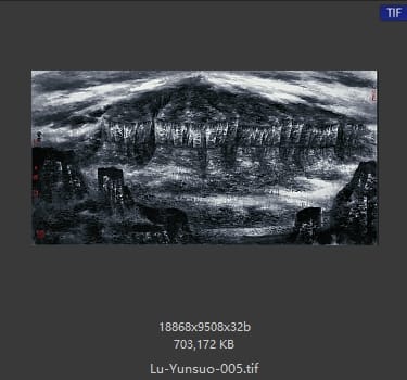 吕云所 元气