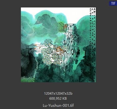 卢禹舜 卢禹舜 #001 