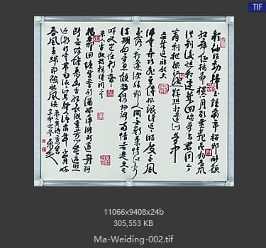 马未定 马未定 #002