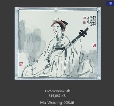 马未定 马未定 #003