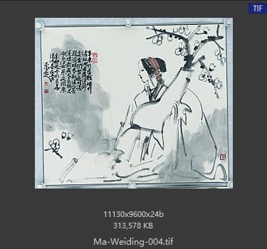 马未定 马未定 #004